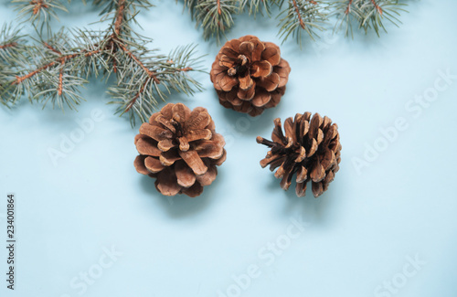 Pinecones on blue background. Christmas decorations. 