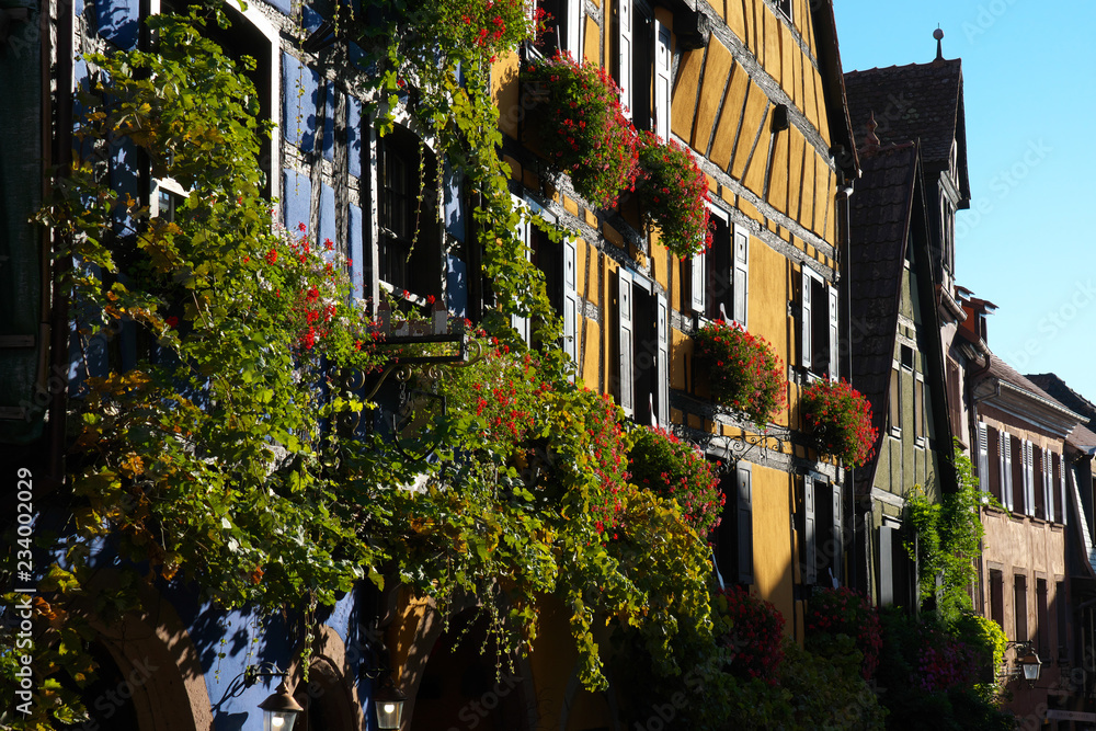 Fototapeta premium Riquewihr,France-October 13, 2018: Beautiful houses in Riquewihr, Alsace, France
