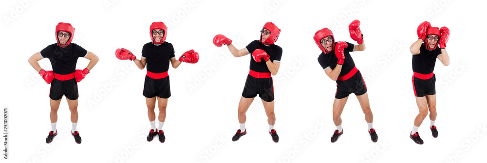 Funny boxer isolated on the white Funny boxer isolated on the white