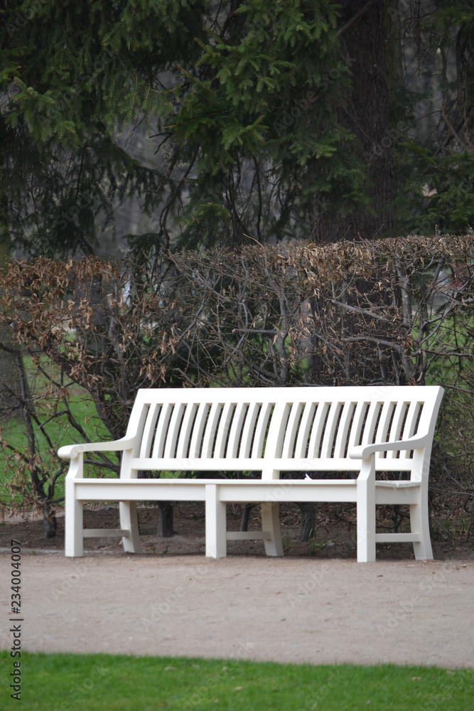White wooden bench in park, alley - vertical photograph White wooden bench in park, alley - vertical photograph