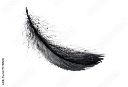 Single black floating feather on white background.
