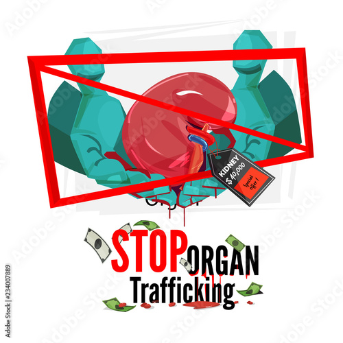 Doctor's hand with human kidneys with price tag. Stop organ traffickking sign - vector
