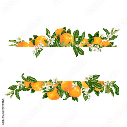 Template frame decprative vector element with citrus flowers and fruits