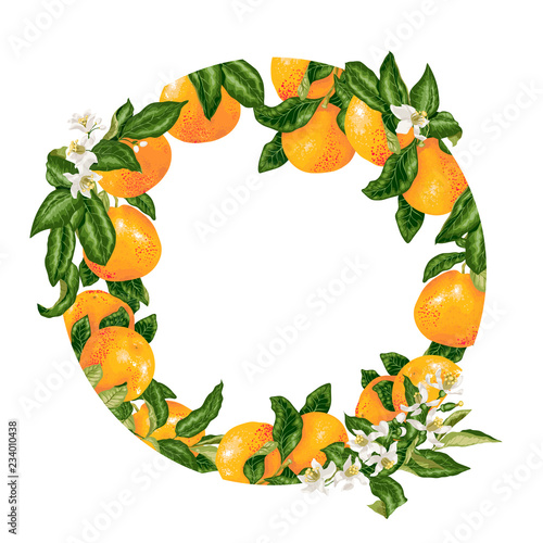 Template decorative vector element with citrus fruits in circle