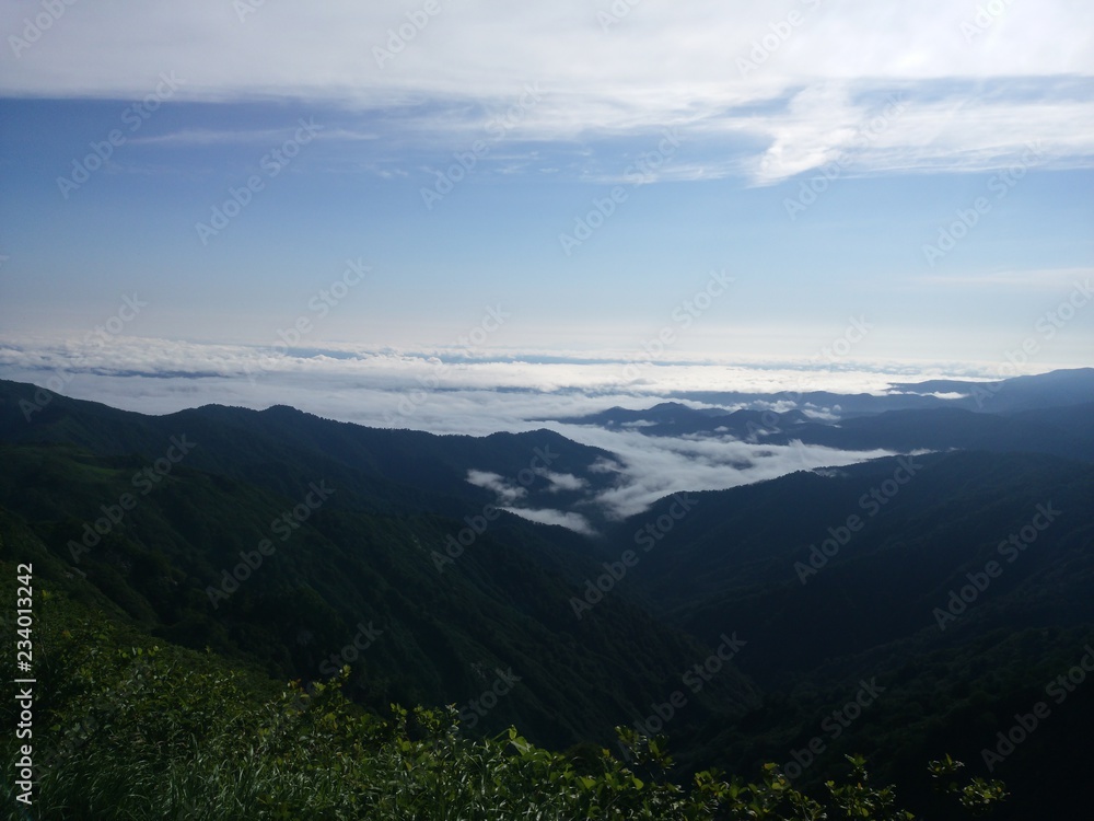 雲海 雲海