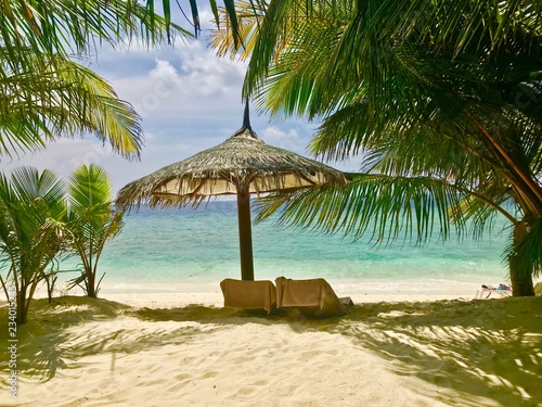 tropical beach with palm trees  maldives