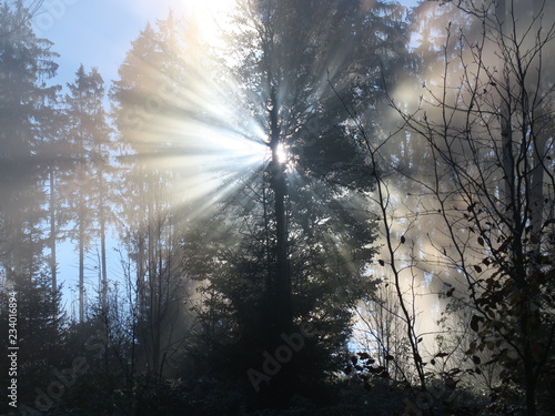 Sonnenstrahlen im Nebel