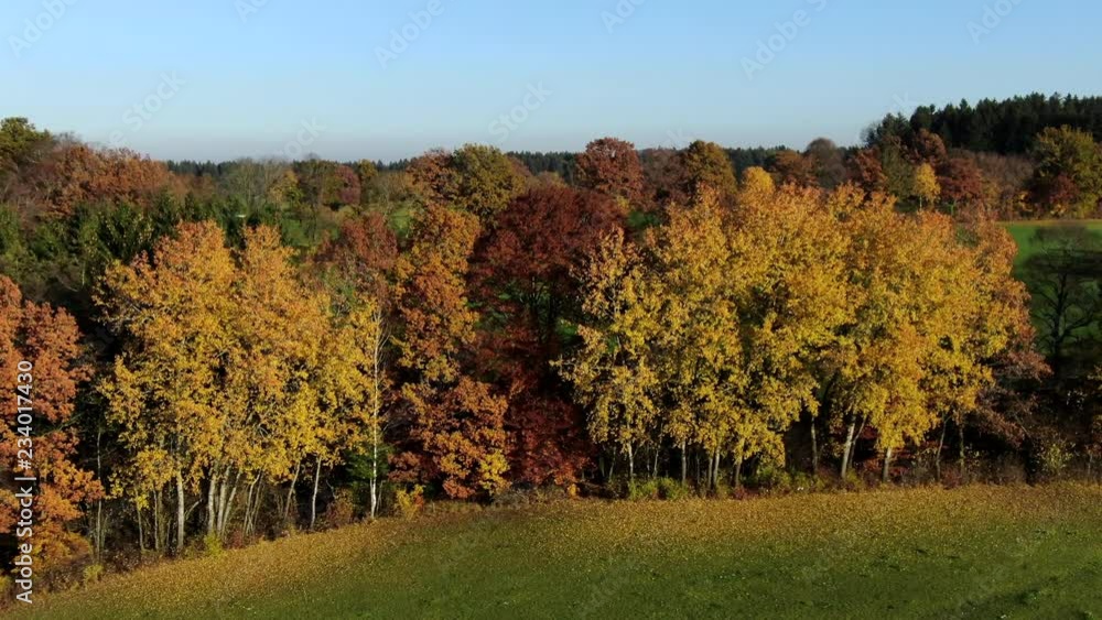 Landscape with autumnal colored trees Landscape with autumnal colored trees