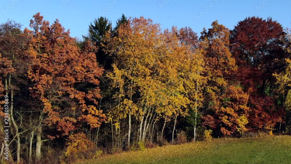 Landscape with autumnal colored trees Landscape with autumnal colored trees