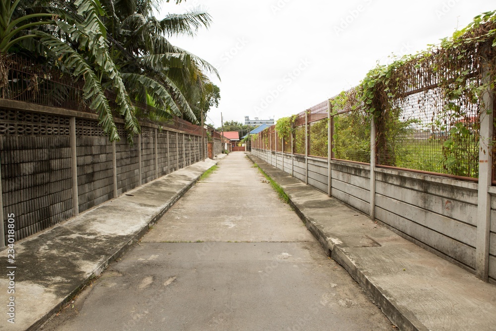 The walkway in the garden is made of cement. The walkway in the garden is made of cement.