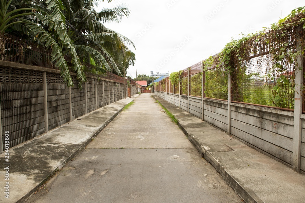 The walkway in the garden is made of cement.