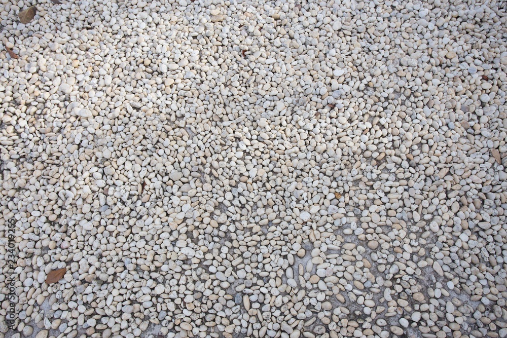 Cement floor in garden Cement floor in garden