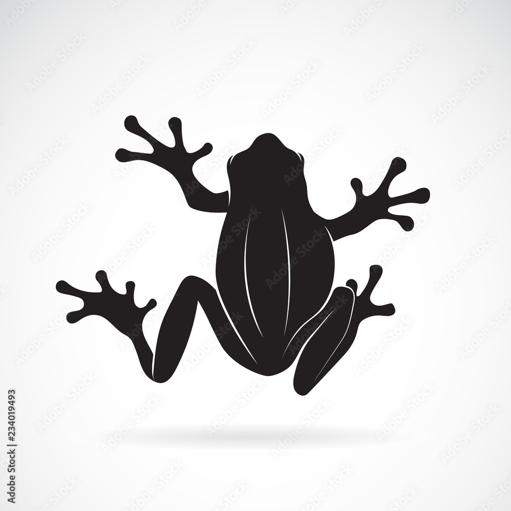 Fototapeta premium Wektor wzór żaby na białym tle. Płaz. Zwierzę. Ikona żaby. Łatwe edytowanie warstwowych ilustracji wektorowych.