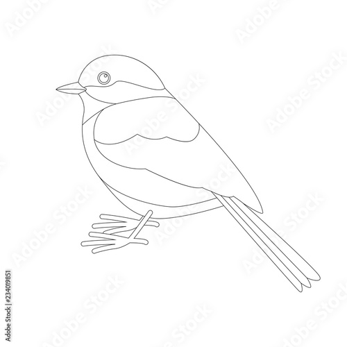 tit bird , lining draw  ,profile