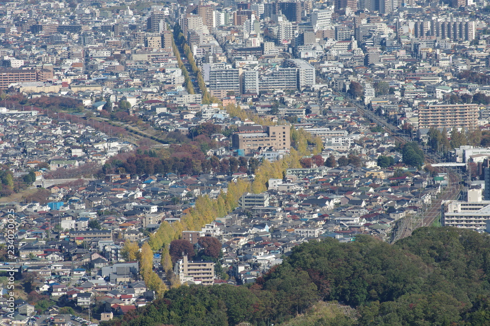 Obraz premium 高尾山から見下ろす街並み