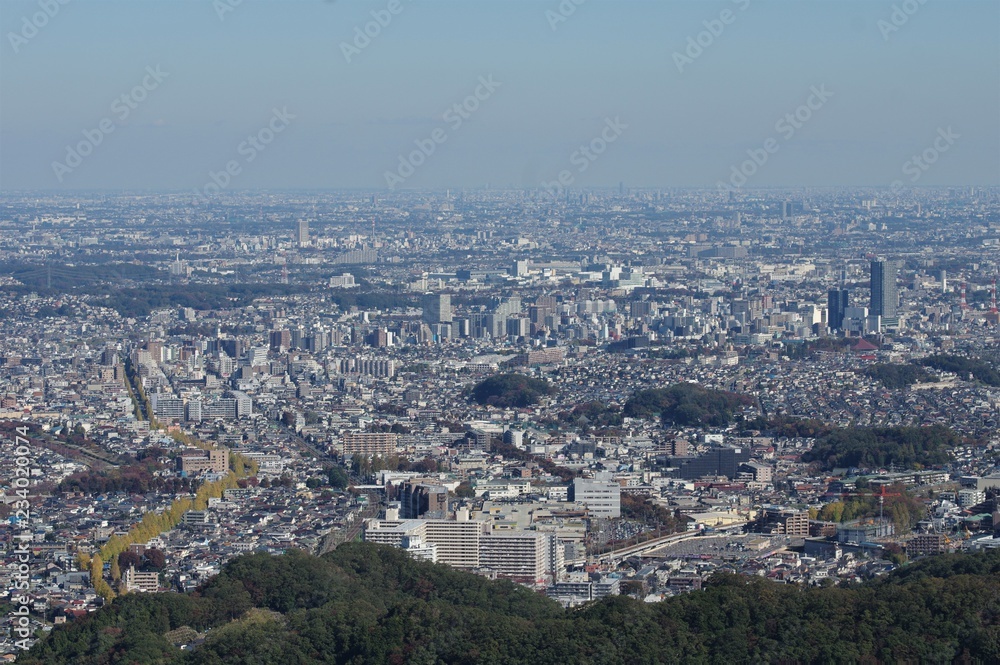 高尾山から街を見下ろす