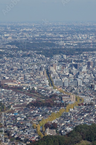 高尾山から見下ろす街並み © Hiro Tak