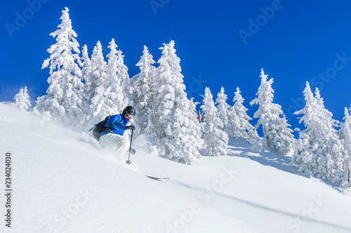 mit Skiern den wunderbaren Pulverschnee genießen