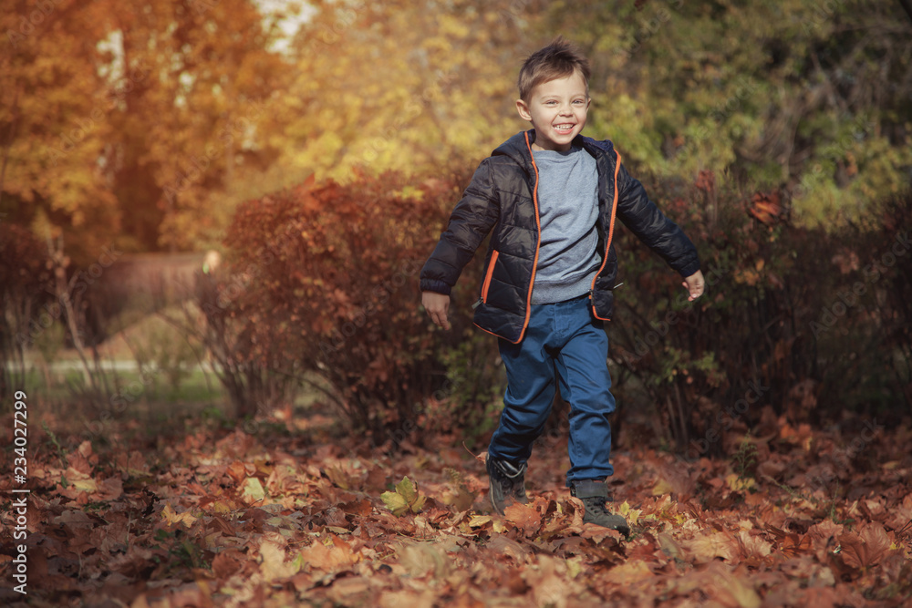  Cute baby boy walks in the park in the fall.