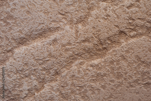 Surface of the limestone shall rock. Texture of natural stone, beige background. High resolution photo