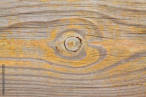 Wallpaper Mural Wood texture Torontodigital.ca