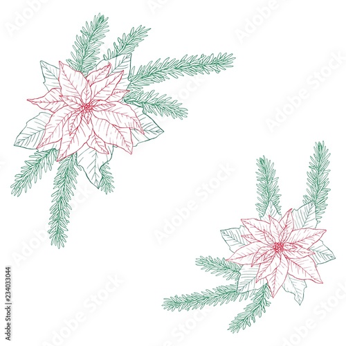 Set of Christmas bouquets made of fir, poinsettia and leaves.