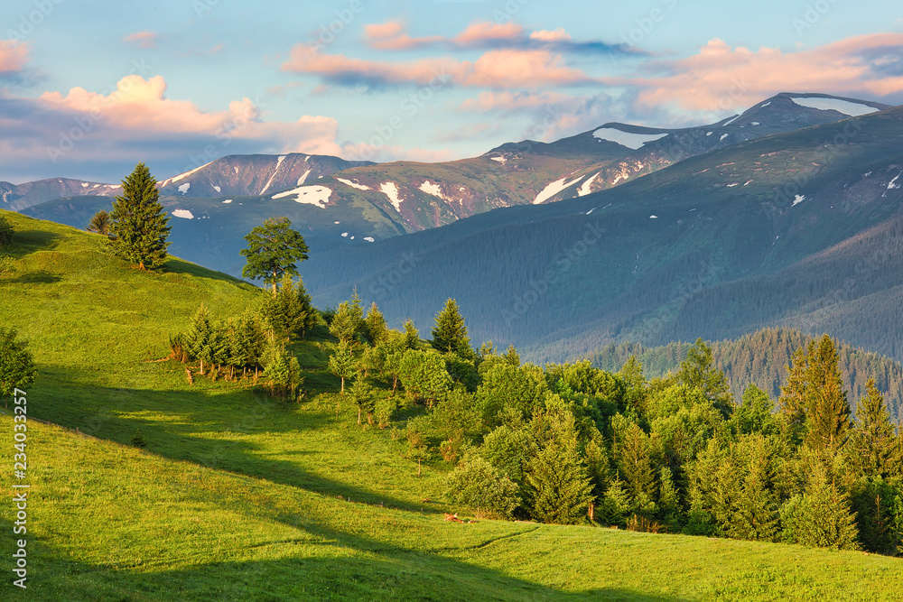 Obraz premium Morning mountain landscape, summertime outdoor background