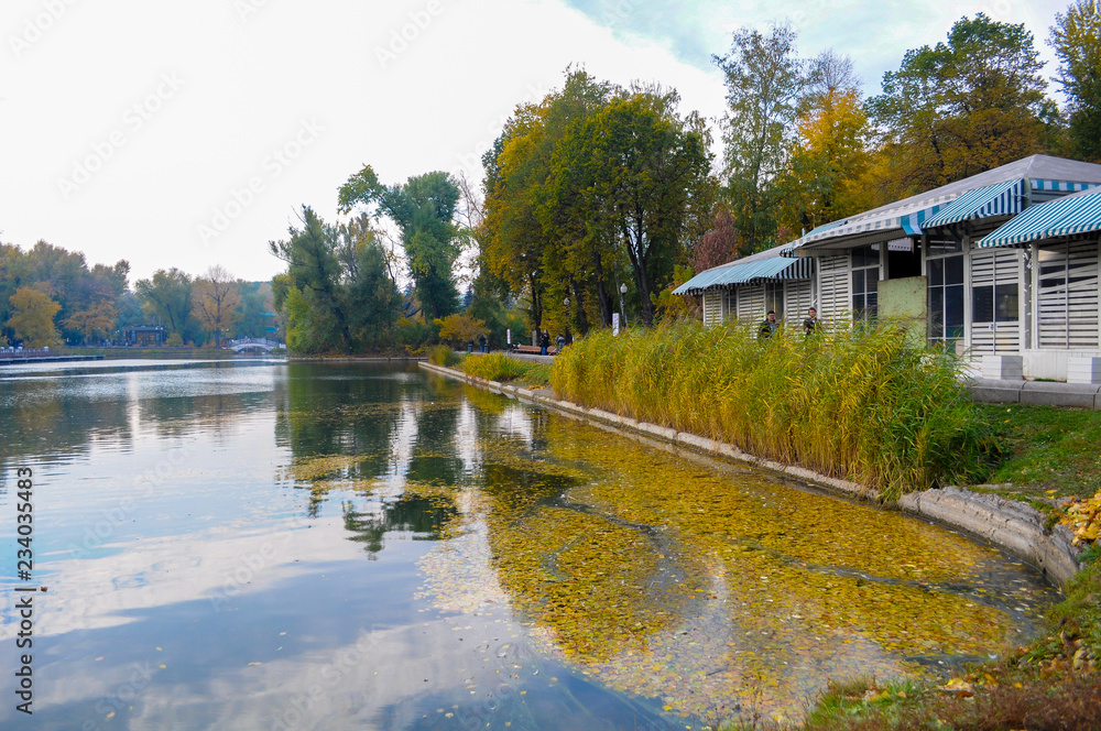 Colorful leaves in the autumn in the park