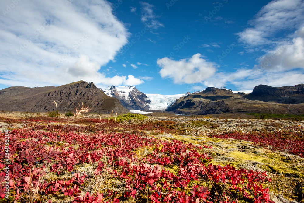 Beautiful blooming mountain landscape with blue sky and clouds. Europe. Iceland