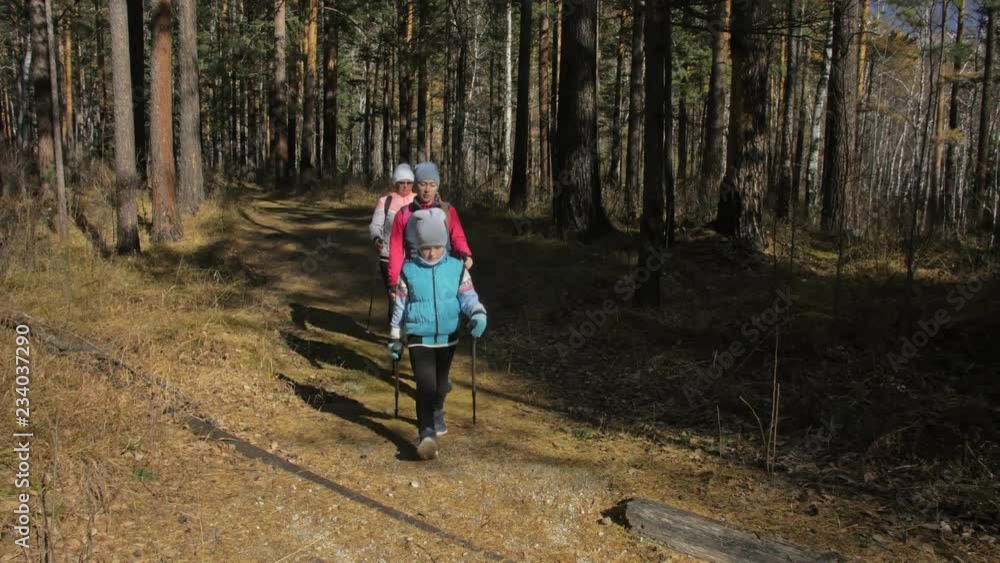 Woman do Nordic walking in nature. Girls and children use trekking sticks and nordic poles, backpacks. Family travels and goes in for sports. Kid is learning from mother and grandmother the proper Woman do Nordic walking in nature. Girls and children use trekking sticks and nordic poles, backpacks. Family travels and goes in for sports. Kid is learning from mother and grandmother the proper