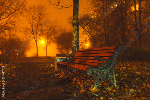Bench in a city park on an autumn foggy evening close-up with copy space, autumn background