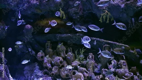 old ship with treasures at the bottom of the sea