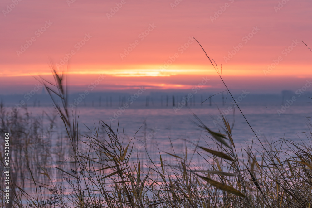 Morgenstunde am bodden