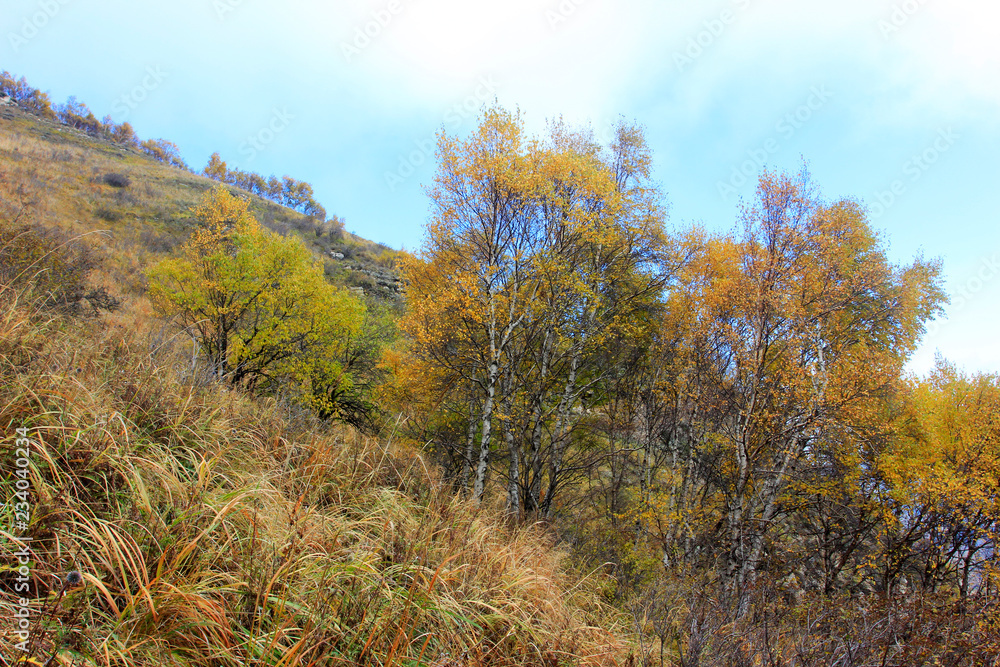 Fototapeta premium mountain natural scenery