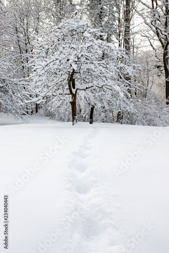 Fußspuren im Schnee in Winterlandschaft © betzge