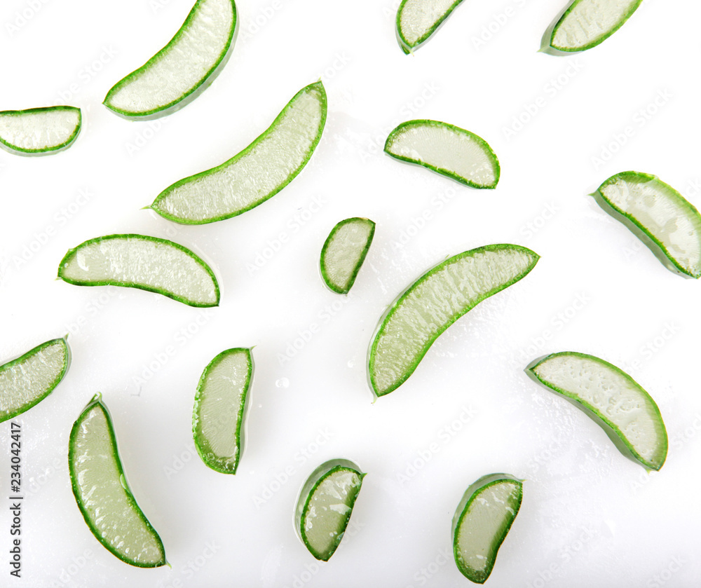 Aloe Vera Plant Isolated On White Background Aloe Vera Plant Isolated On White Background