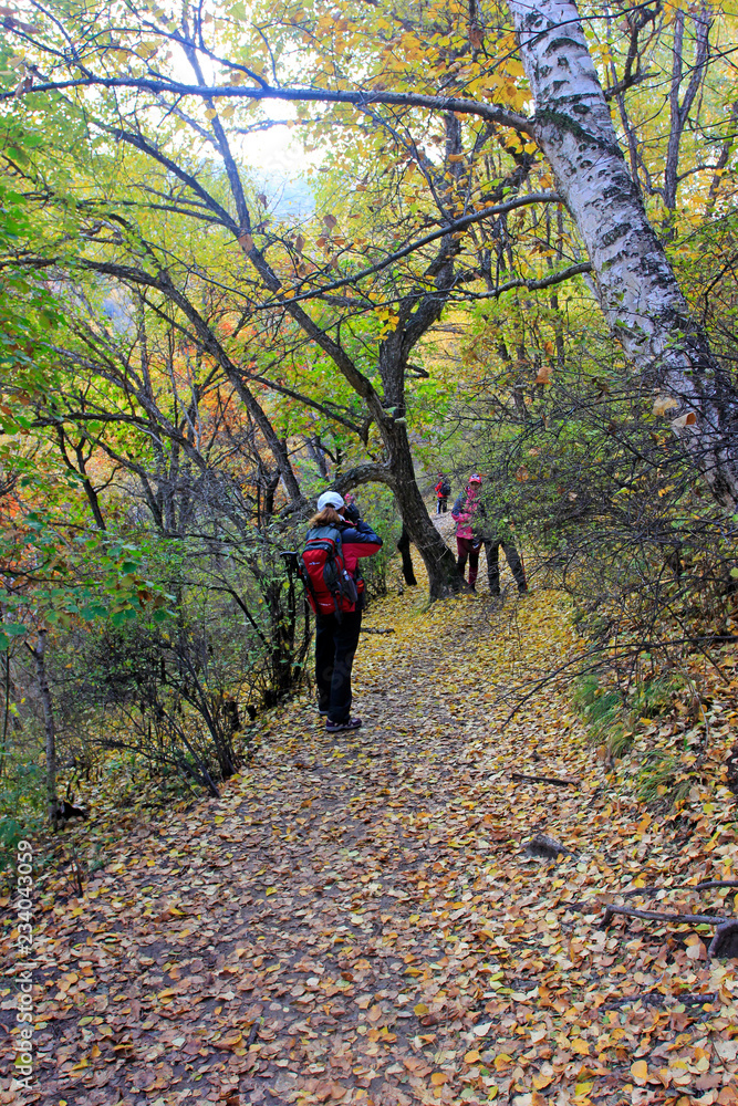 Naklejka premium Outdoor travelers in the forest, Beijing, China