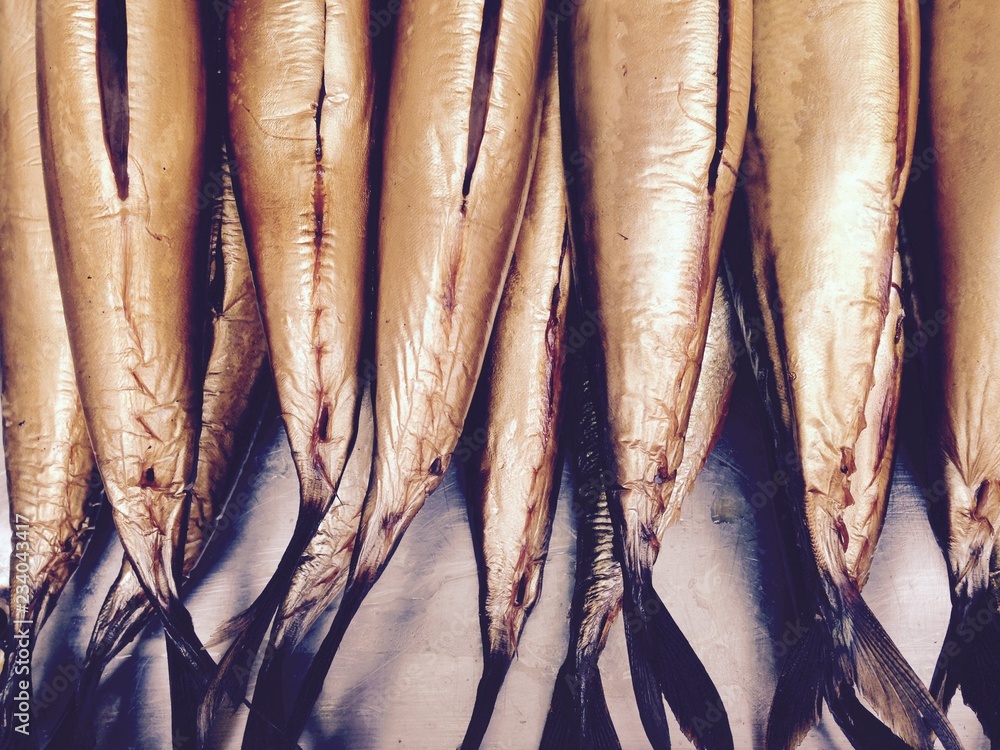 Obraz premium Poisson // Fish