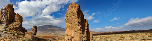 Del Teide  Tenerife   Canary islands   Spain