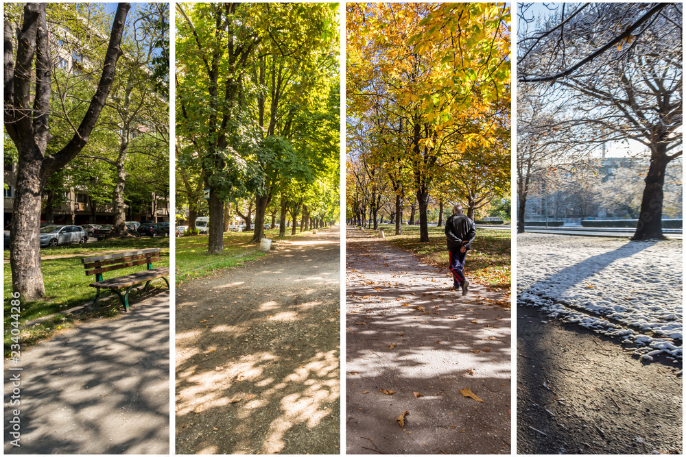 Four seasons concept. The effect of the 4 seasons on the urban environment. Four pictures of one place captured during one year and seamlessly blended in one photography composite. - obrazy, fototapety, plakaty 