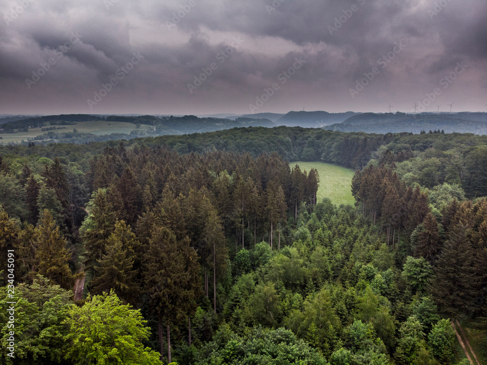 Regenwolken über dem Wald - Luftaufnahme