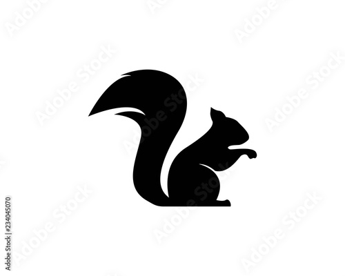 Canvas Print squirrel logo vector icon illustration design