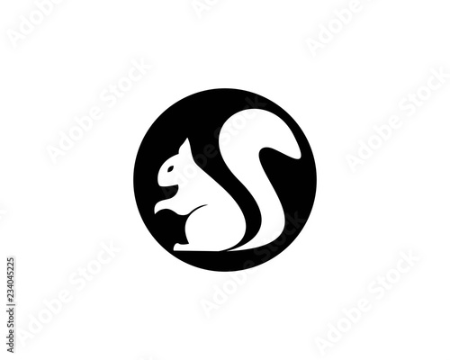 squirrel logo vector icon illustration design 
