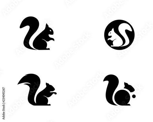 squirrel logo vector icon illustration design 