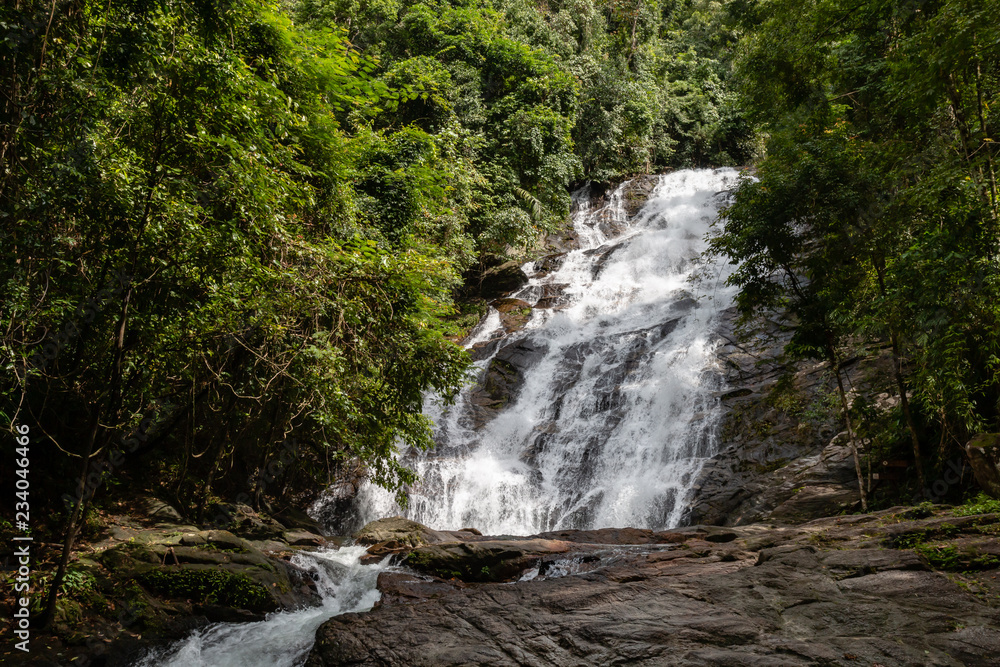 A beautiful waterfall in the tropical rainforest A beautiful waterfall in the tropical rainforest