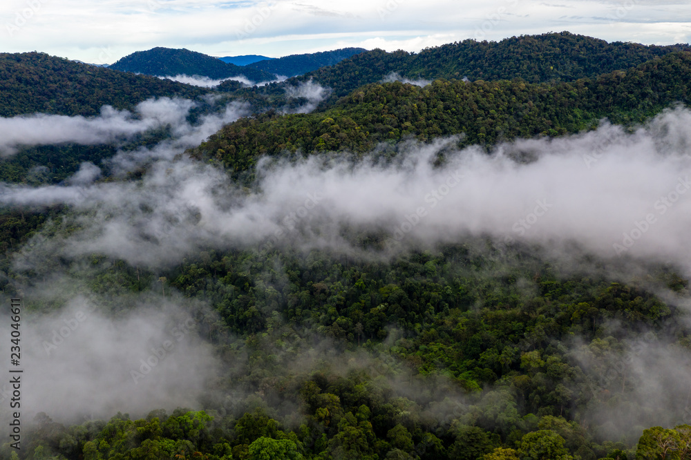 Aerial drone view of mist and fog forming over a tropical rainforest in Asia