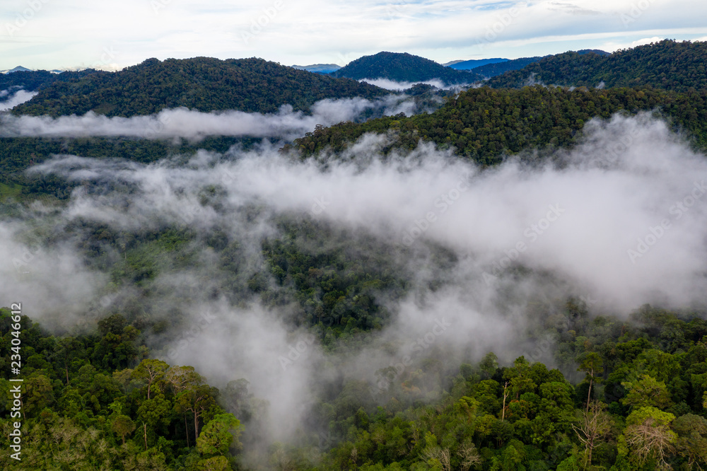 Aerial drone view of mist and fog forming over a tropical rainforest in Asia