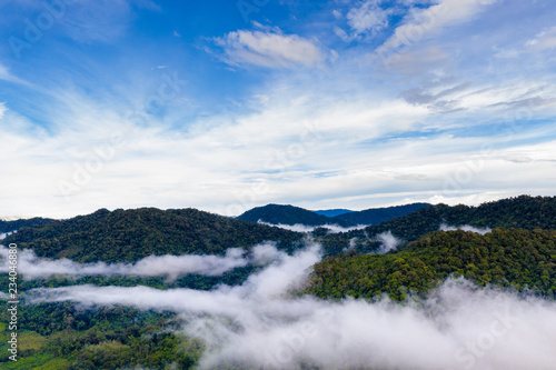 Mist and cloud forming over a dense, tropical rainforest in Thailand