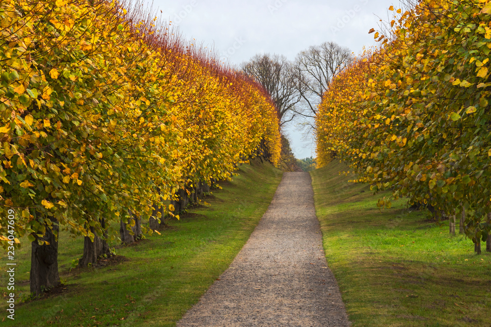 Naklejka premium Autumn nature scene mecklenburg germany no people