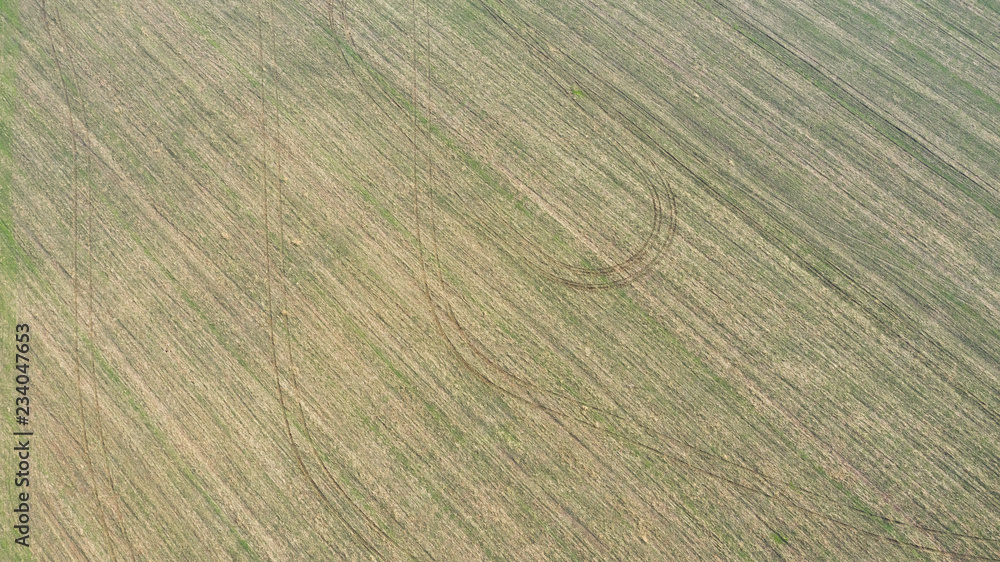 Aerial view from the drone autumn field surface in the countryside.